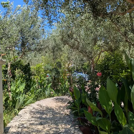 Konukevi Kasa Garden Dıraç