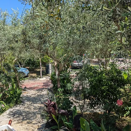 招待所 Kasa Garden Durrës